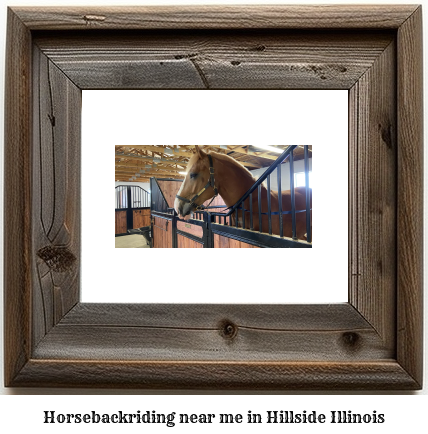 horseback riding near me in Hillside, Illinois